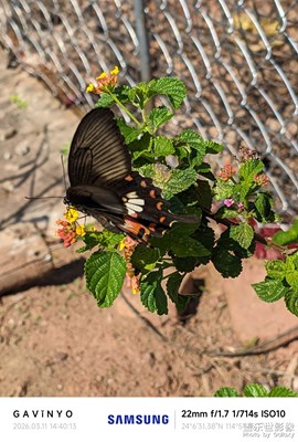 【簡拍】隨拍瞬間