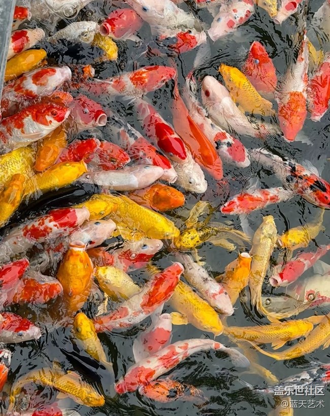 【一人行漫游錄】踏青