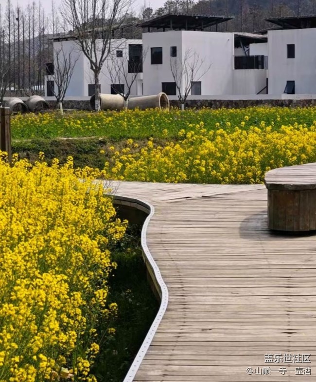 【一人行漫游錄】看花去