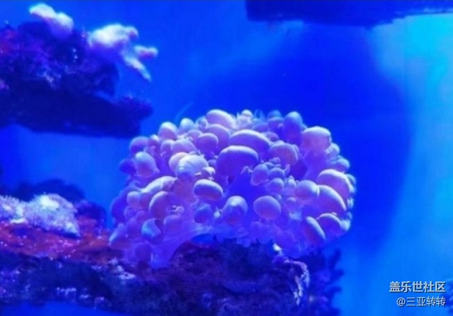 【一人行漫游錄】海洋館走走