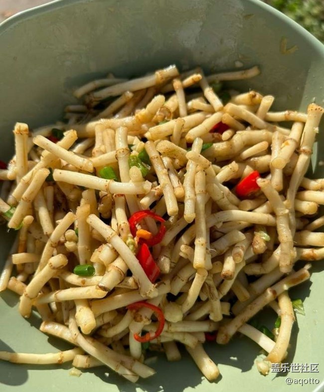 【尋味三月天】魚腥草