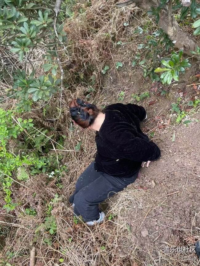 【一人行漫游錄】摘野菜