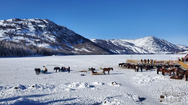 新疆喀納斯真的好美啊