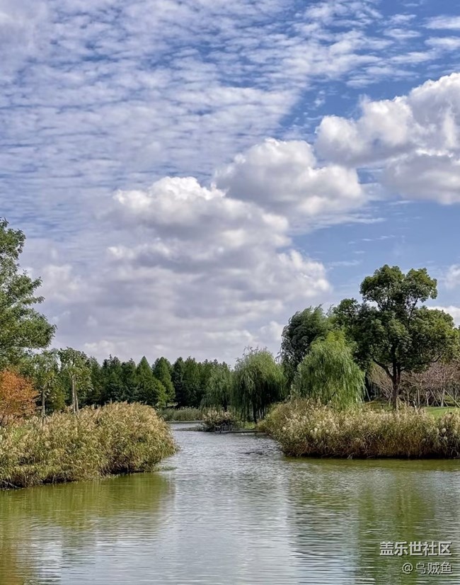 【一人行漫游錄】逛公園