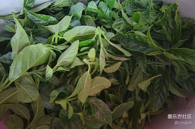 【一人行漫游錄】春天的快樂