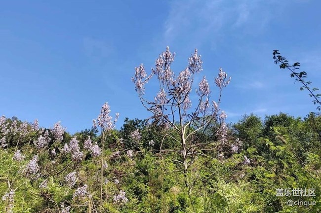 【一人行漫游錄】春天的快樂