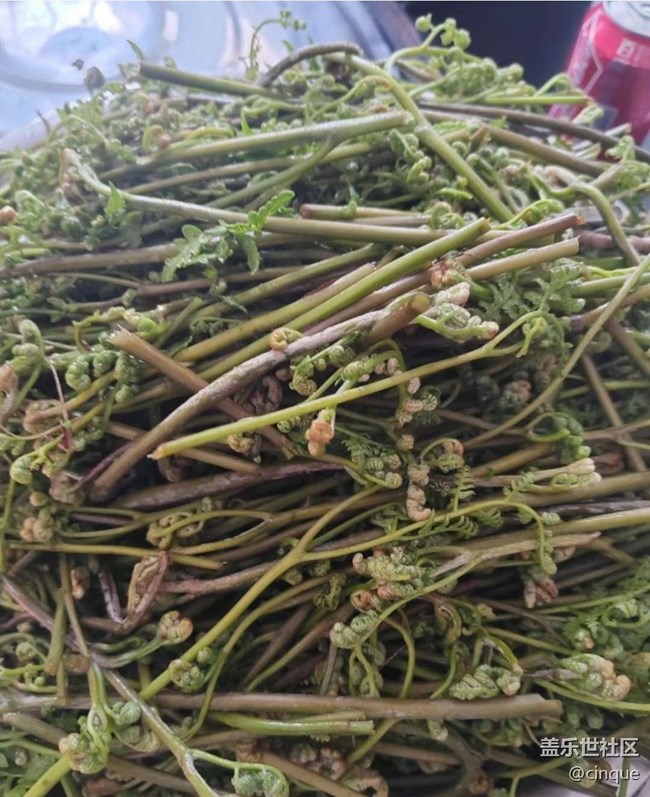 【一人行漫游錄】春天的快樂