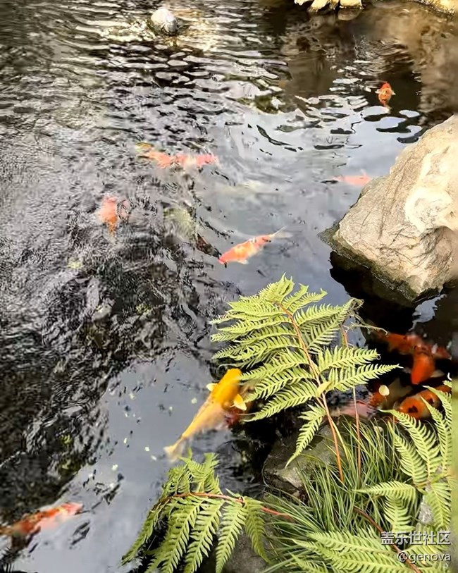 【一人行漫游錄】游寒山寺