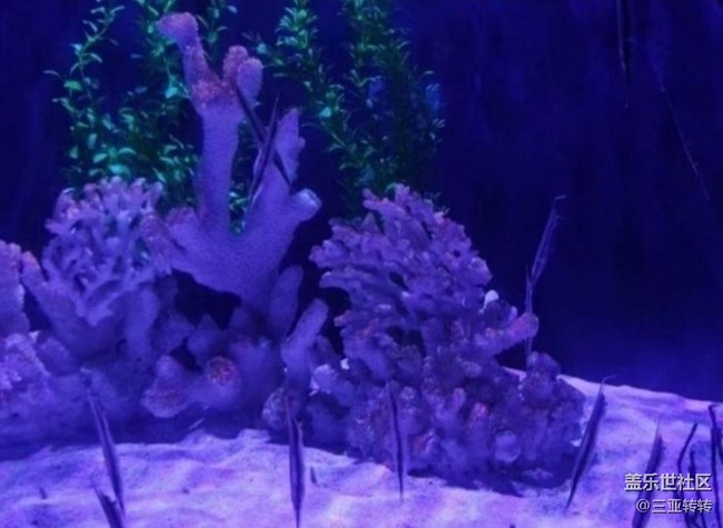 【一人行漫游錄】海洋館走走