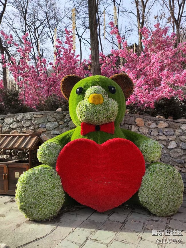 星部落活動(dòng)回顧貼