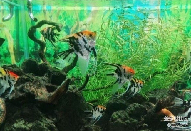 【一人行漫游錄】海洋館走走