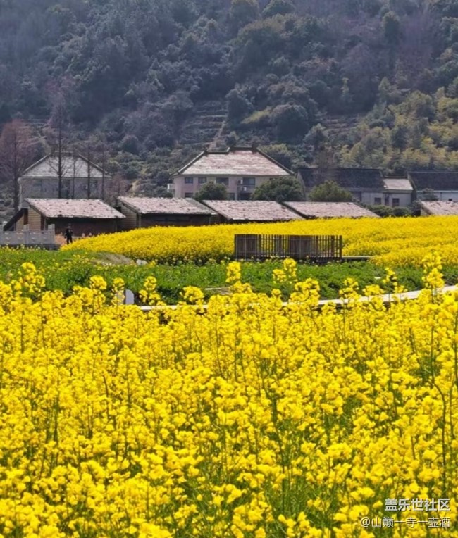 【一人行漫游錄】看花去