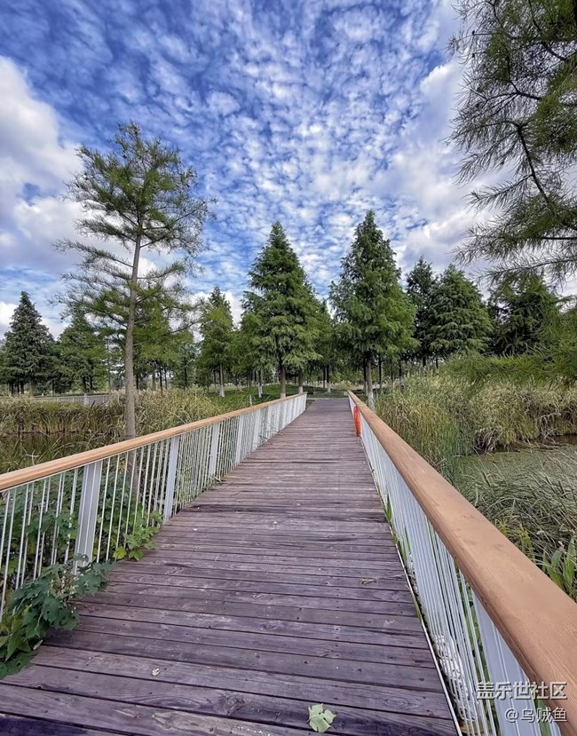 【一人行漫游錄】逛公園