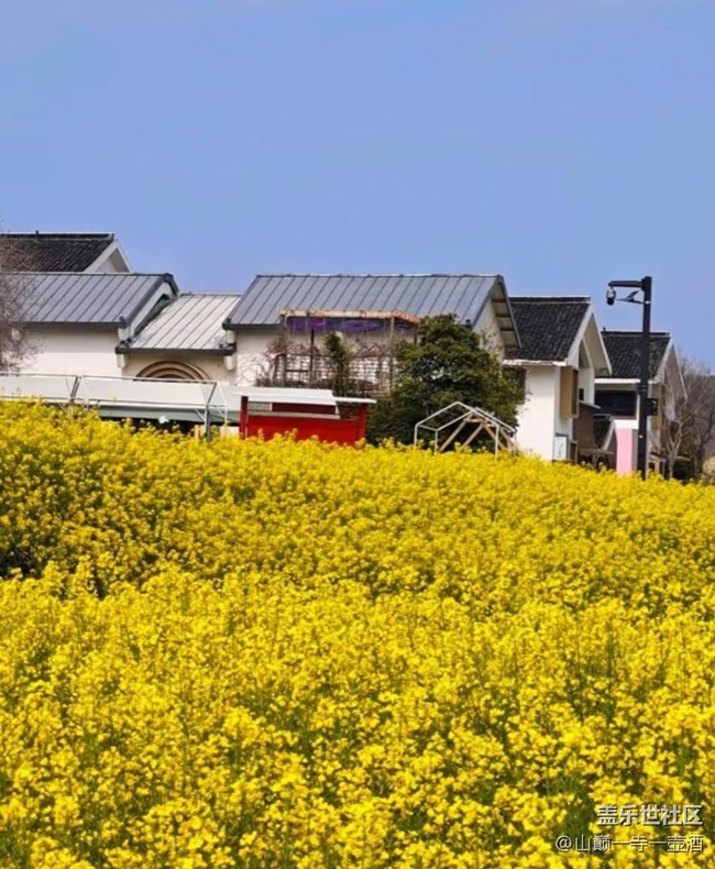 【一人行漫游錄】看花去
