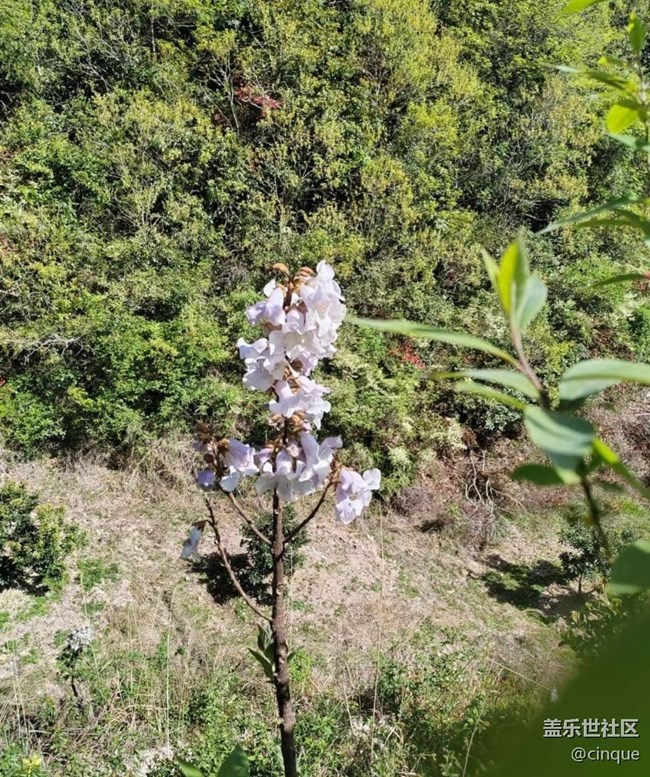 【一人行漫游錄】春天的快樂