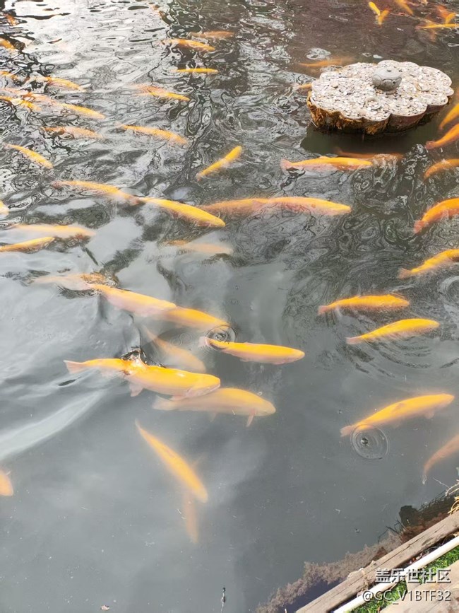 三星家人相聚本溪小市一莊