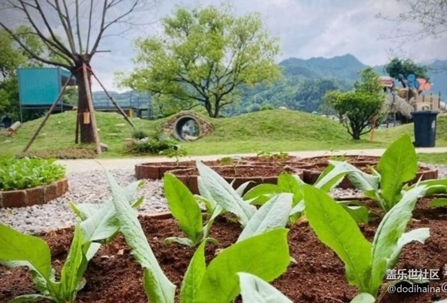 【一人行漫游錄】種菜