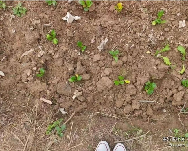 【一人行漫游錄】鄉(xiāng)村凈土