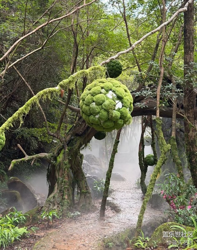 【一人行漫游錄】踏青