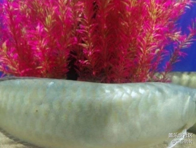 【一人行漫游錄】海洋館走走