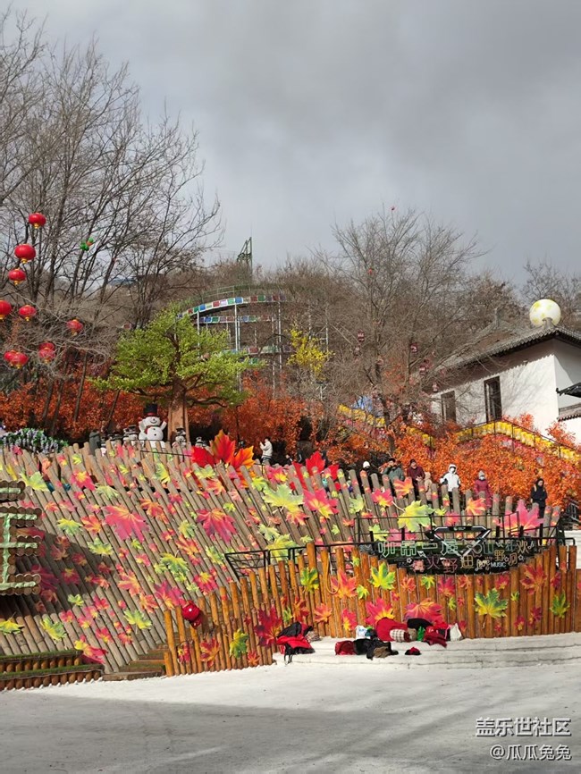 星部落活動(dòng)回顧貼