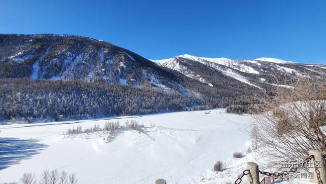 新疆喀納斯真的好美啊