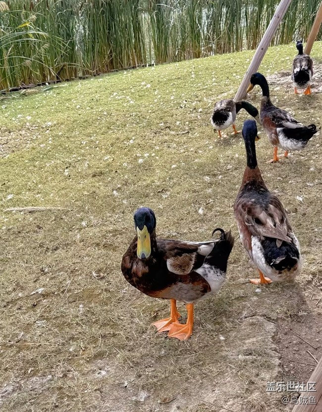 【一人行漫游錄】逛公園