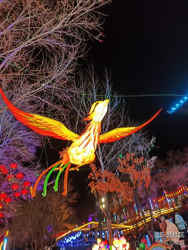 星部落活動(dòng)回顧貼