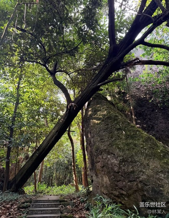 【一人行漫游錄】翻山悅己
