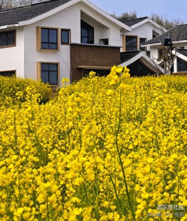 【一人行漫游錄】看花去