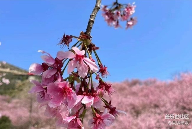 【一人行漫游錄】出游