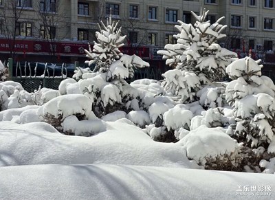 【人間三月】+烏魯木齊還在下雪