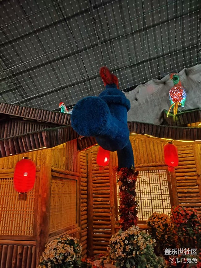 星部落活動(dòng)回顧貼