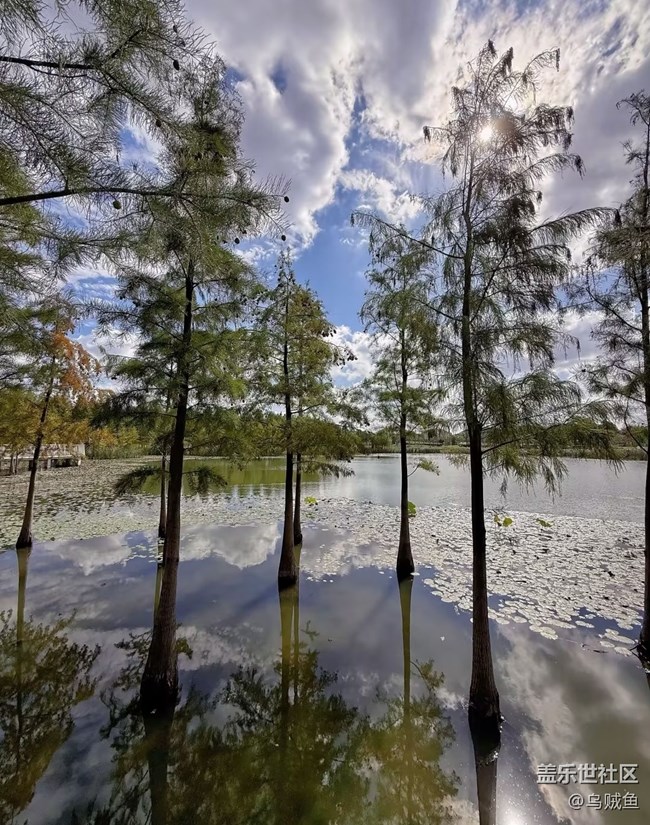 【一人行漫游錄】逛公園