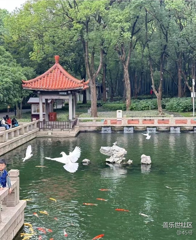 【一人行漫游錄】去拜佛