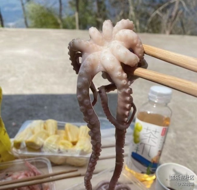 【尋味三月天】午后時光