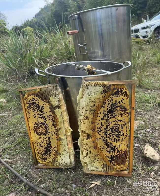 【一人行漫游錄】割蜜