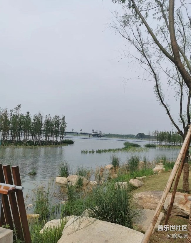 【一人行漫游錄】游湖
