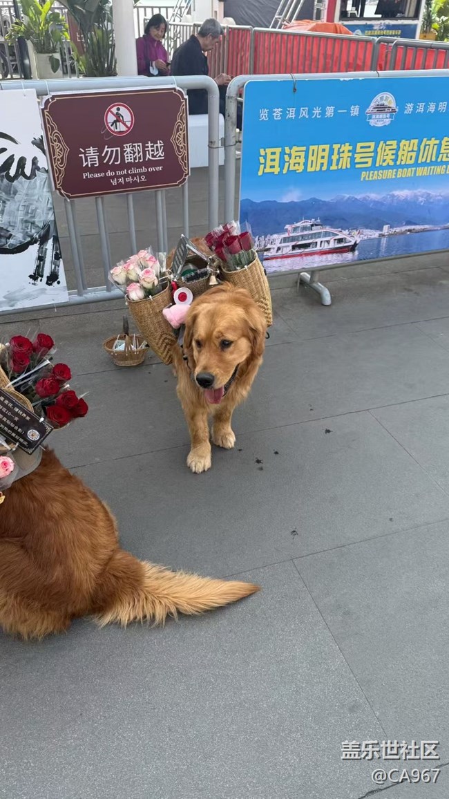 【一人行漫游錄】出去玩