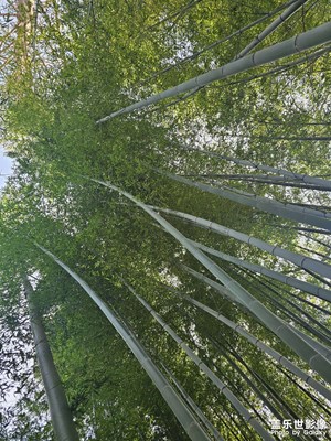 【人間三月】春來早