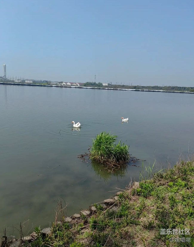 【一人行漫游錄】游湖