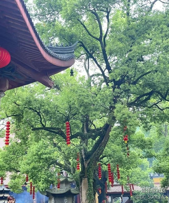 【一人行漫游錄】春日祈福