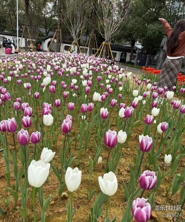 【一人行漫游錄】公園賞花