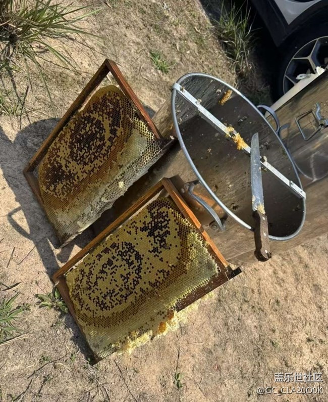 【一人行漫游錄】割蜜