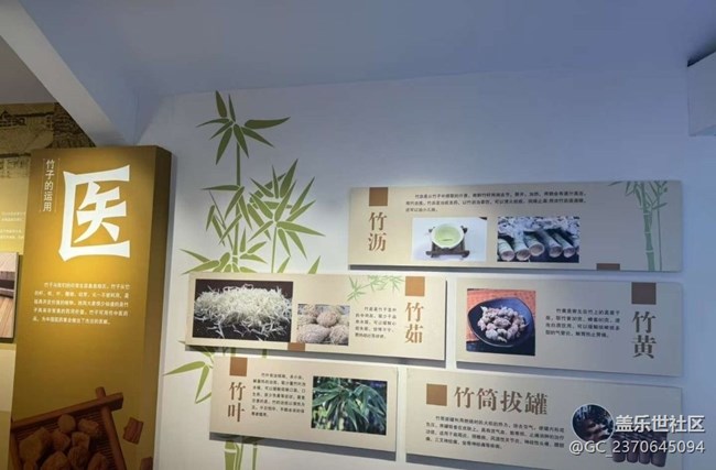 【一人行漫游錄】打卡竹博園