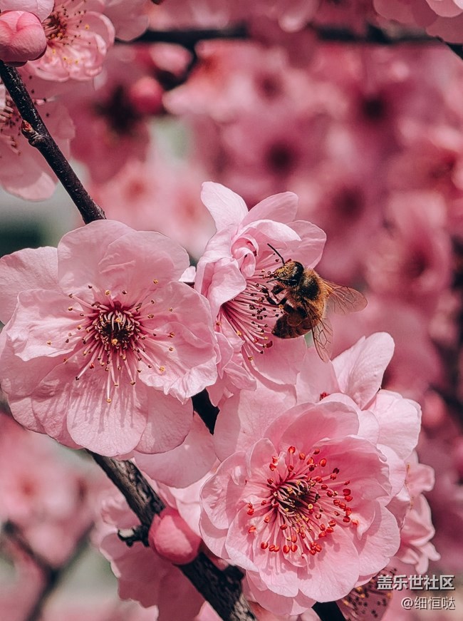 三星Galaxy S26Ultra與Galaxy Buds4Pro美圖分享