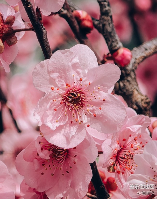 三星Galaxy S26Ultra與Galaxy Buds4Pro美圖分享