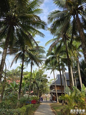 【人間三月】+傣味版納