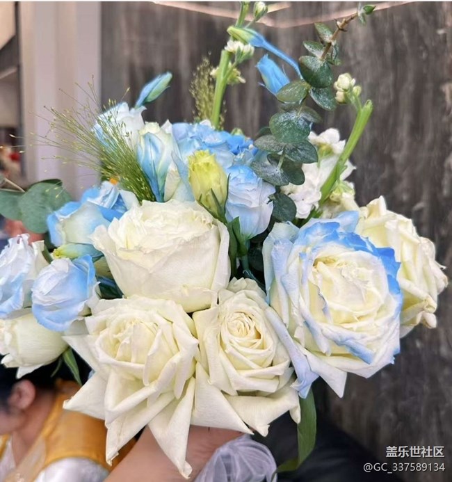 【一人行漫游錄】美好春天