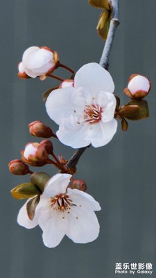 但行好事 莫問前程。